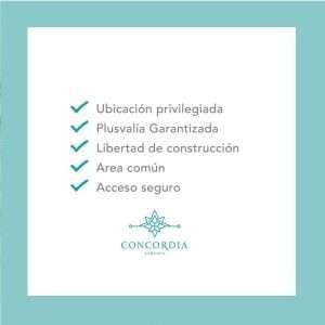 Fb Img 1677444519673 Espacios Hábitat Bienes Raíces Inmobiliaria En Hermosillo Especializada En Bienes Raíces