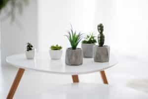 Home Interior Espacios Hábitat Bienes Raíces Inmobiliaria En Hermosillo Especializada En Bienes Raíces