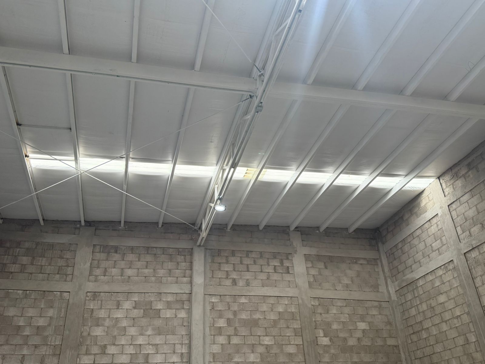 Bodega en renta en Puerta del Rey, Hermosillo, de 540 m² — foto 7