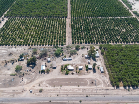 Campo agrícola en venta en la Costa de Hermosillo, 350 hectáreas con nogal — foto 1