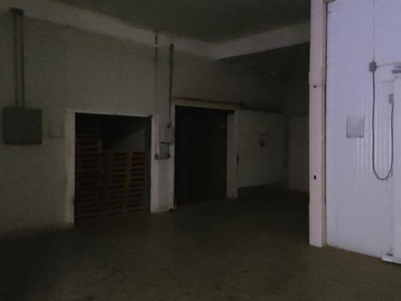 Planta industrial en venta en Las Playitas, Guaymas, con cuartos de congelación — foto 11