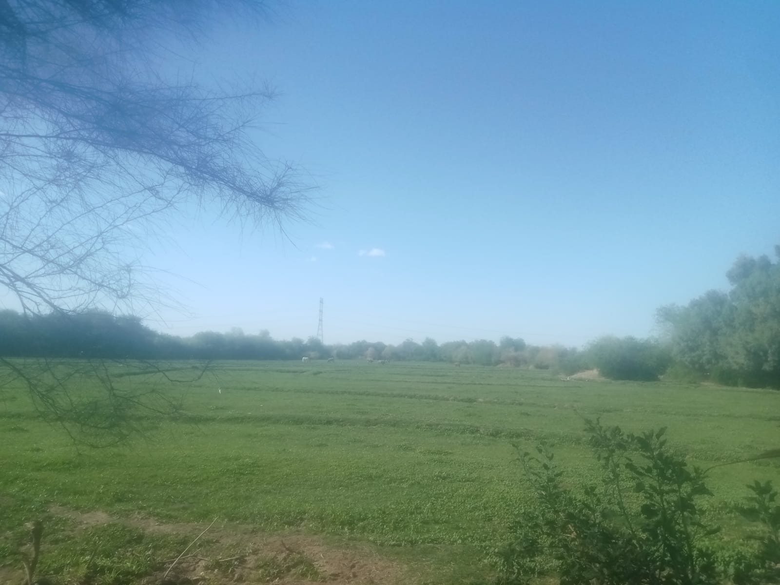 Predio en venta en Camino del Seri, Hermosillo, 32,709 m² — foto 4