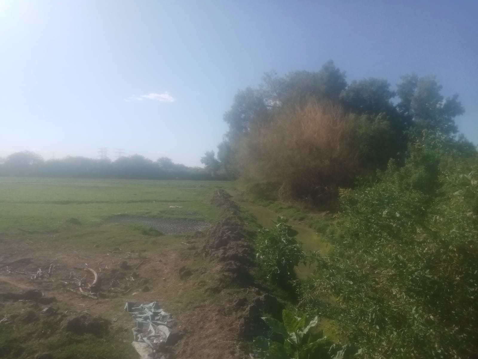 Predio en venta en Camino del Seri, Hermosillo, 32,709 m² — foto 5