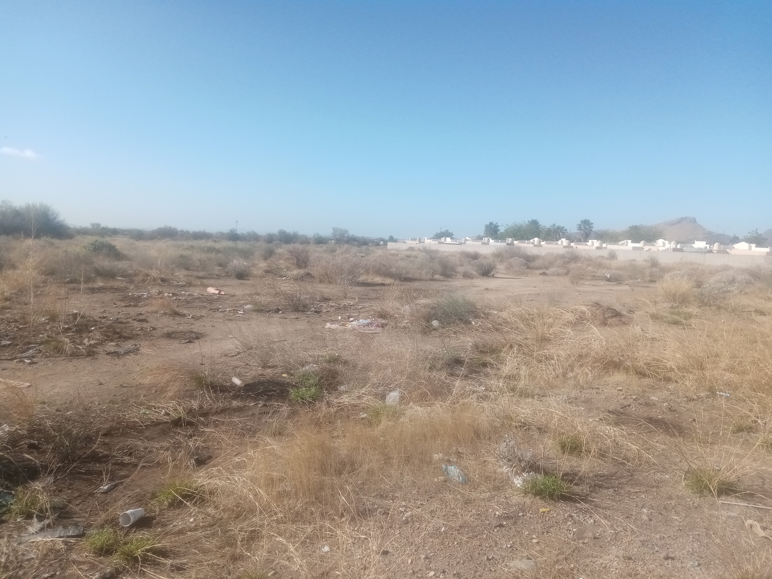 Terreno comercial de 1 hectárea en venta en Blvd. Carlos B. Maldonado, Hermosillo — foto 1