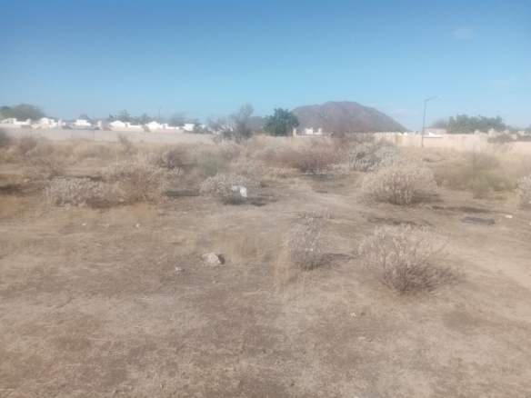 Terreno comercial de 1 hectárea en venta en Blvd. Carlos B. Maldonado, Hermosillo — foto 2