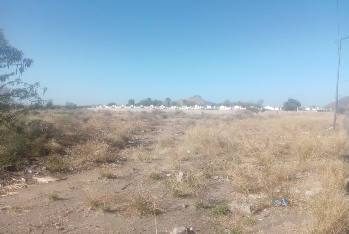 Terreno comercial de 1 hectárea en venta en Blvd. Carlos B. Maldonado, Hermosillo — foto 4