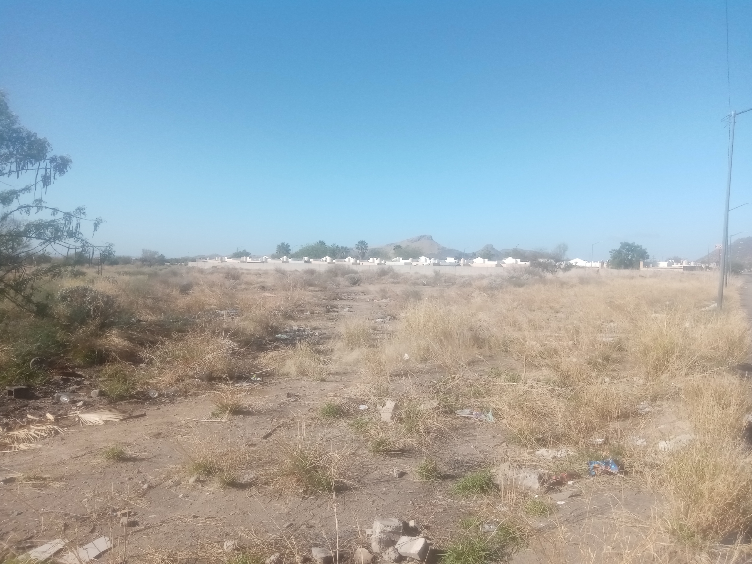 Terreno comercial de 1 hectárea en venta en Blvd. Carlos B. Maldonado, Hermosillo — foto 4