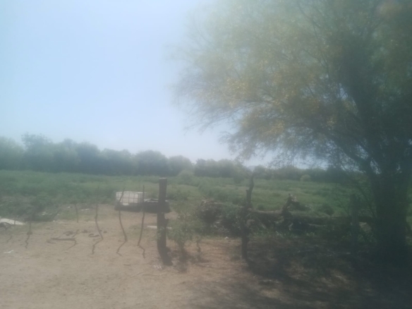 Terreno comercial en venta en Camino del Seri, Hermosillo, 47,603 m² — foto 4