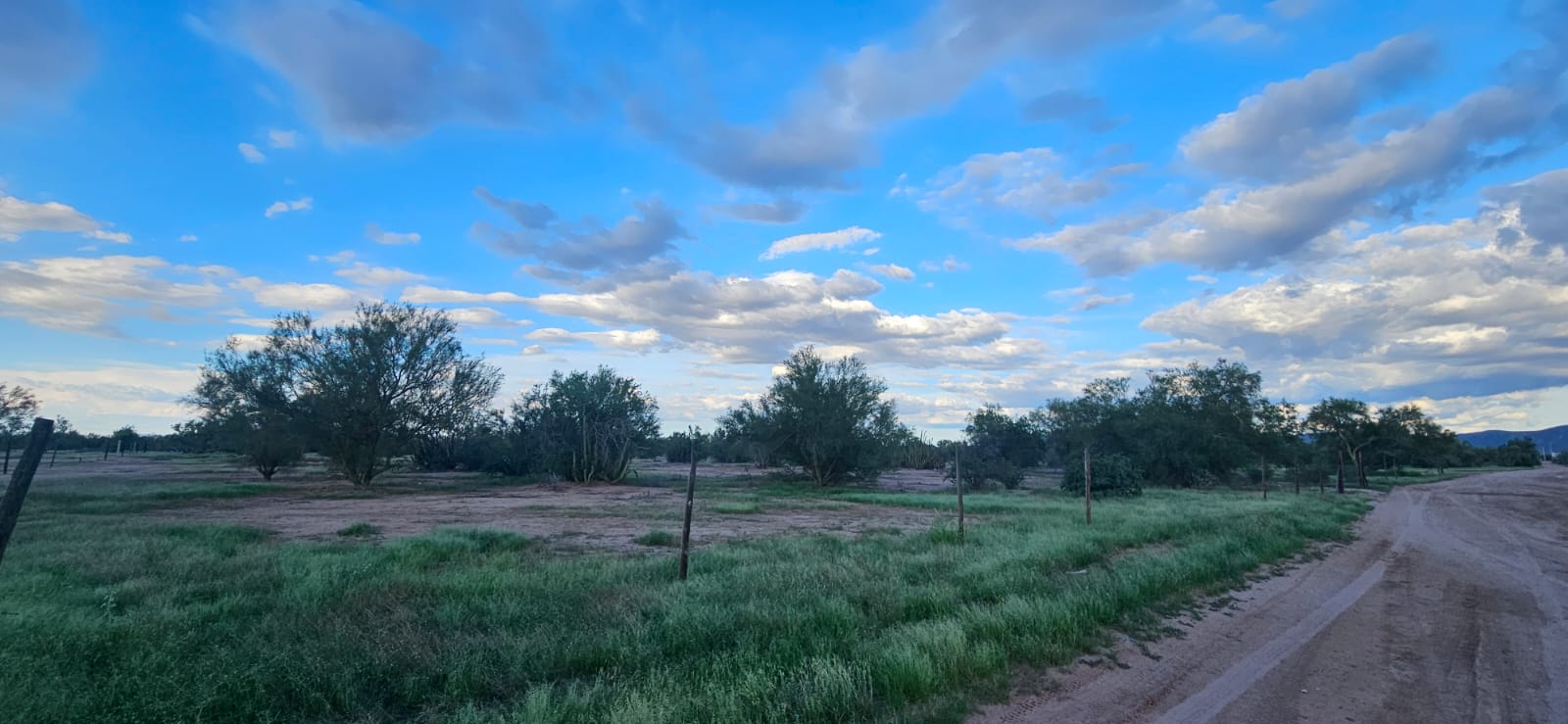 Terreno comercial en venta en Hermosillo, sobre Carretera 26, de 18,550 m² — foto 6