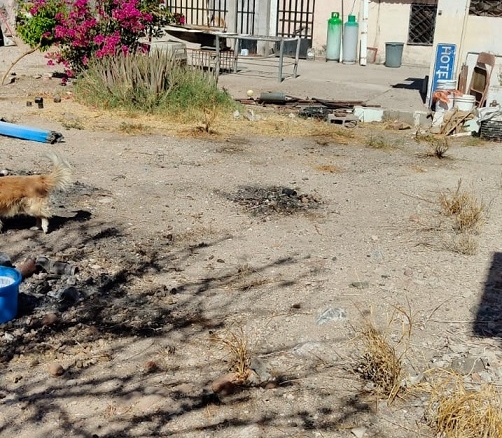Terreno en venta sobre Blvd. Vildósola, Hermosillo, 587 m² uso mixto — foto 3