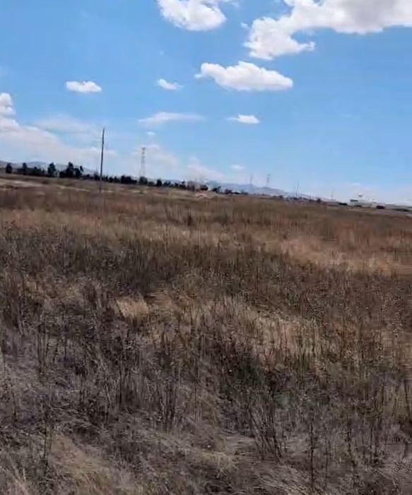 Terreno industrial en venta en Zacatecas, 5 hectáreas en el corredor Calera — foto 5