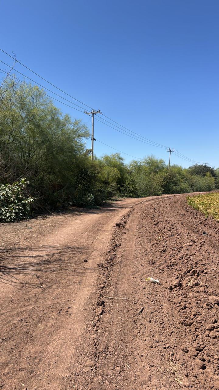 Terreno rústico en venta en Los Mochis, Sinaloa, de 2 hectáreas — foto 1
